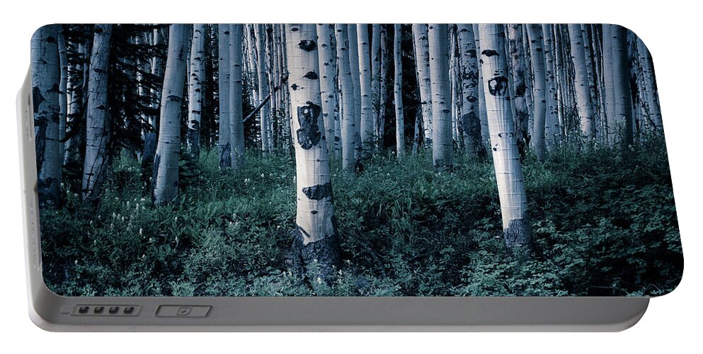 Asdpen Portable Battery Charger featuring the photograph Aspen Forest Trees II by John De Bord