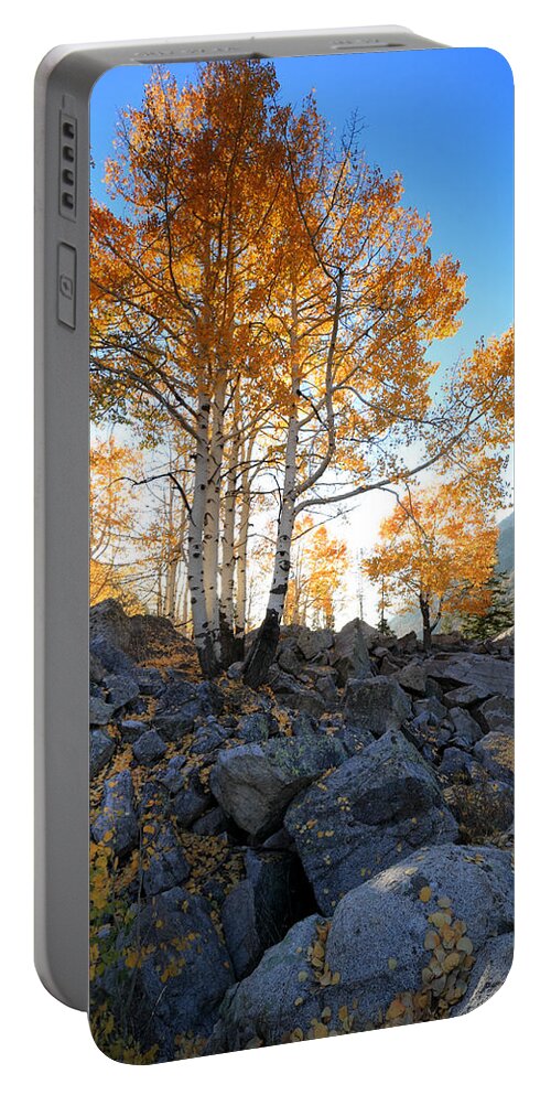 Landscape Portable Battery Charger featuring the photograph Aspen Glow by Brett Pelletier