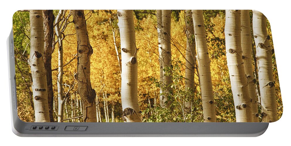 Autumn Portable Battery Charger featuring the photograph Aspen Gold by James BO Insogna