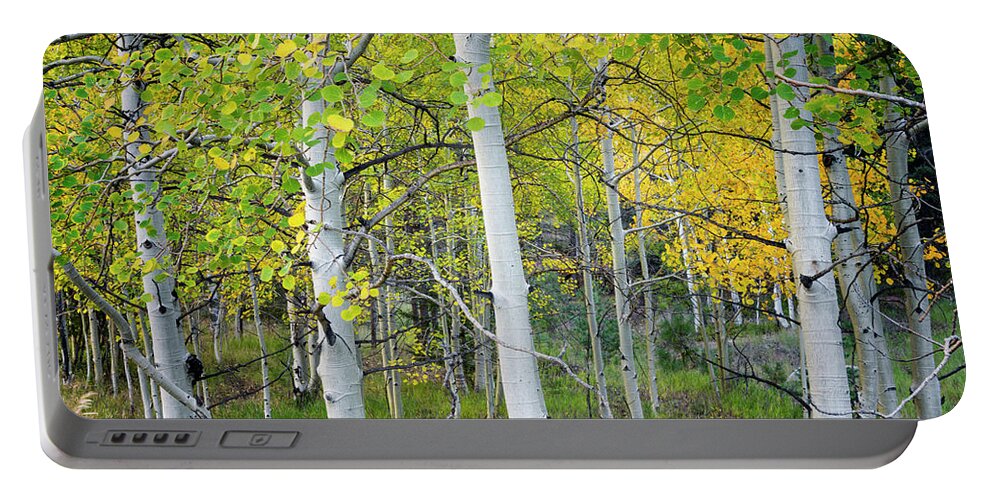 Aspen Portable Battery Charger featuring the photograph Aspens In Autumn 6 - Santa Fe National Forest New Mexico by Brian Harig