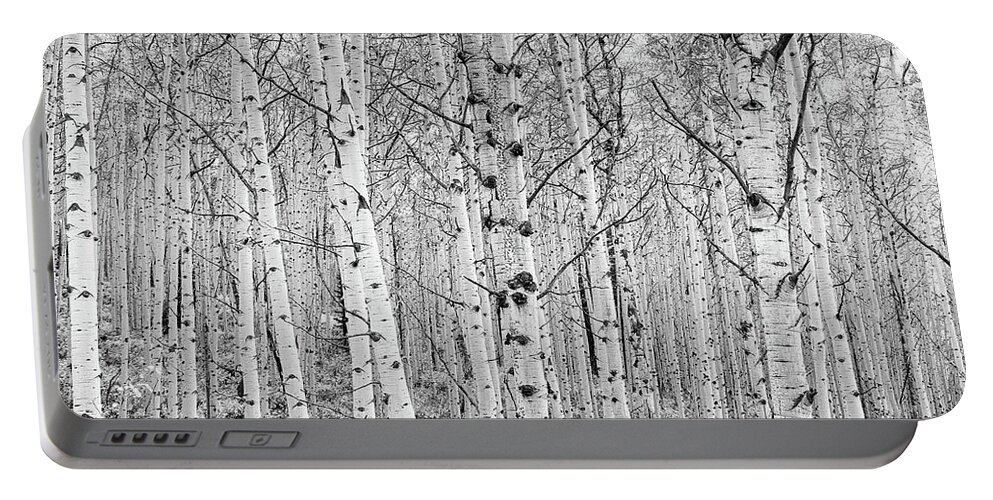 Aspen Portable Battery Charger featuring the photograph Aspens In High Key by John De Bord