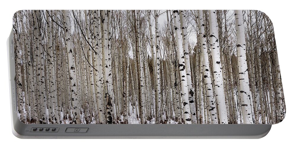 Aspen Portable Battery Charger featuring the photograph Aspens In Winter - Colorado by Brian Harig