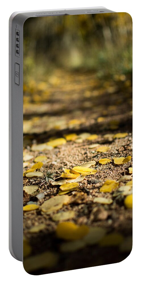 Aspen Portable Battery Charger featuring the photograph Aspen leaves on trail by Stephen Holst