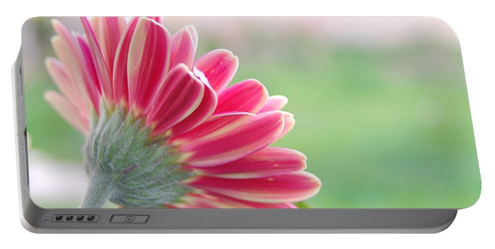 Flower Portable Battery Charger featuring the photograph Aspiring by Amy Fose