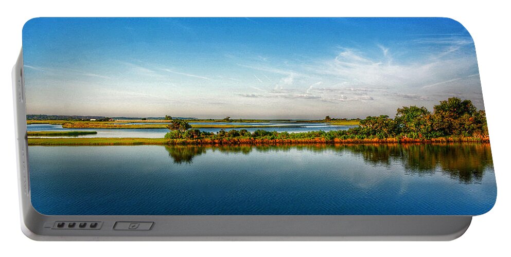 Wetlands Portable Battery Charger featuring the photograph Assateague Summer I by Kathi Isserman