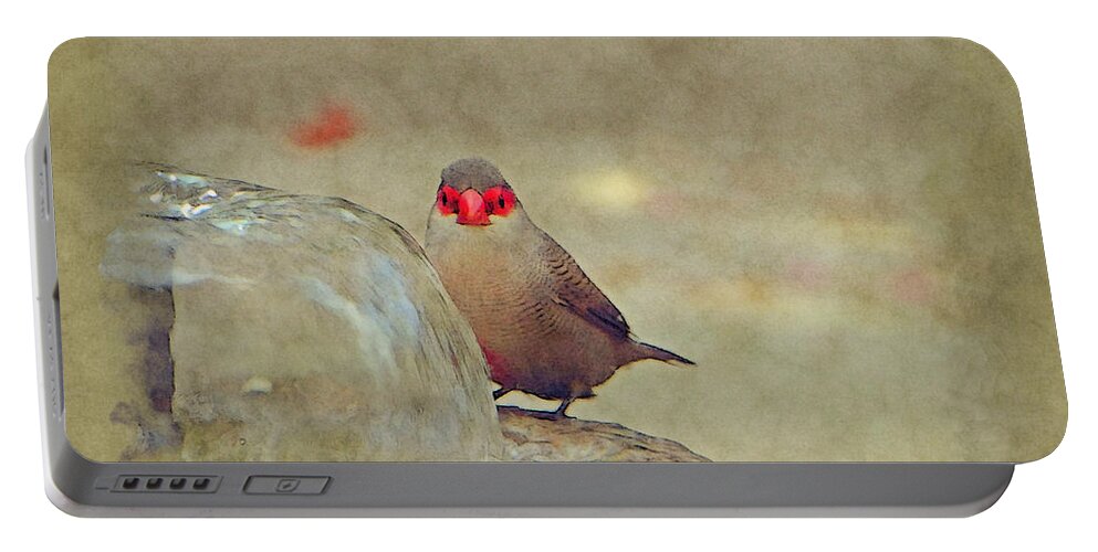 Bird Portable Battery Charger featuring the photograph At The Bird Bath by Lori Seaman