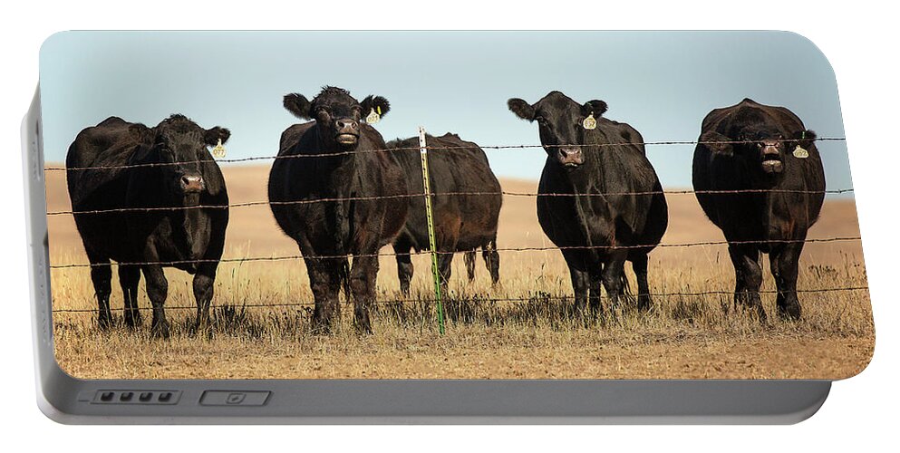 Black Angus Portable Battery Charger featuring the photograph At the Fence by Todd Klassy