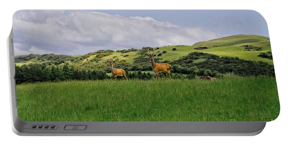 Beecraigs Portable Battery Charger featuring the photograph At the hill bottom. by Elena Perelman