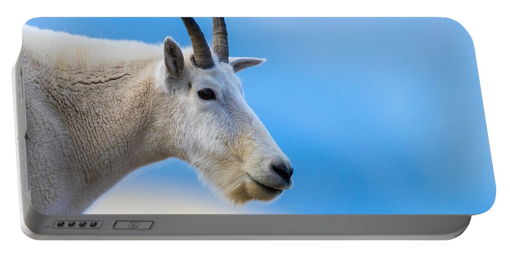 Mountain Goat Portable Battery Charger featuring the photograph At The Top Of The Rockies #1 by Mindy Musick King