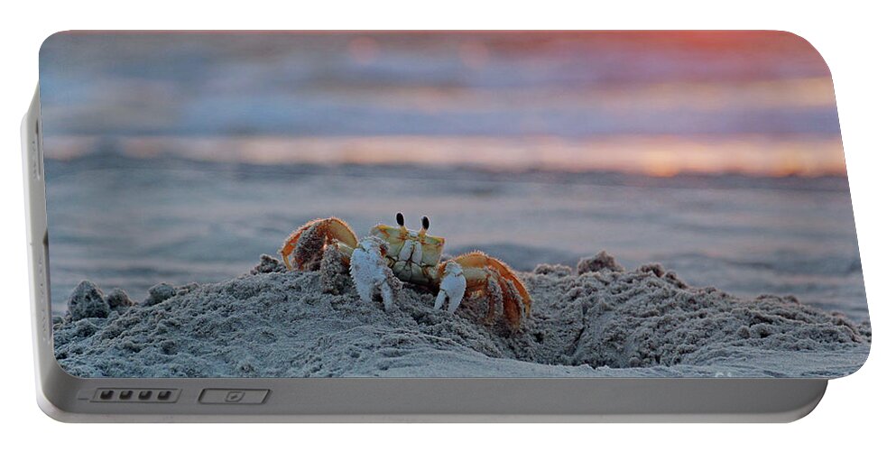 Atlantic Ghost Crab Portable Battery Charger featuring the photograph Atlantic Ghost Crab at Sunrise 2612 by Jack Schultz
