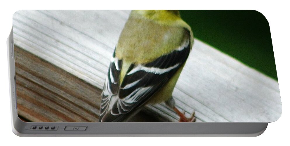 Bird Portable Battery Charger featuring the photograph Attitude by Barbara S Nickerson