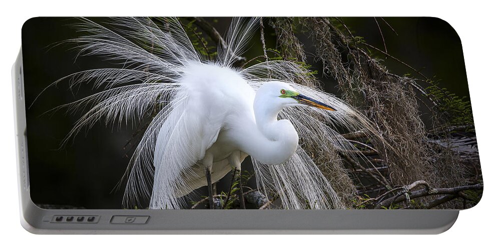 Great Egret Portable Battery Charger featuring the photograph Attraction by Jim Miller