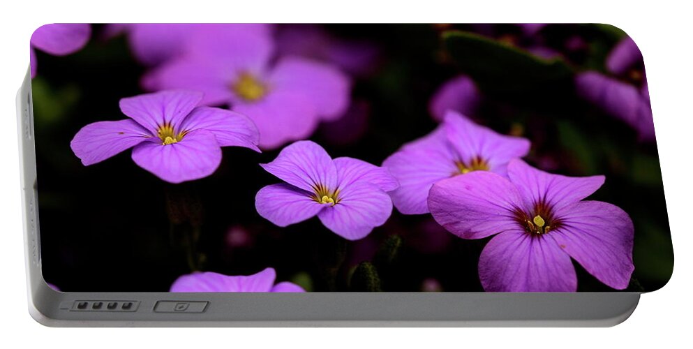 Aubretia Flowers Portable Battery Charger featuring the photograph Aubretia by Ian Sanders
