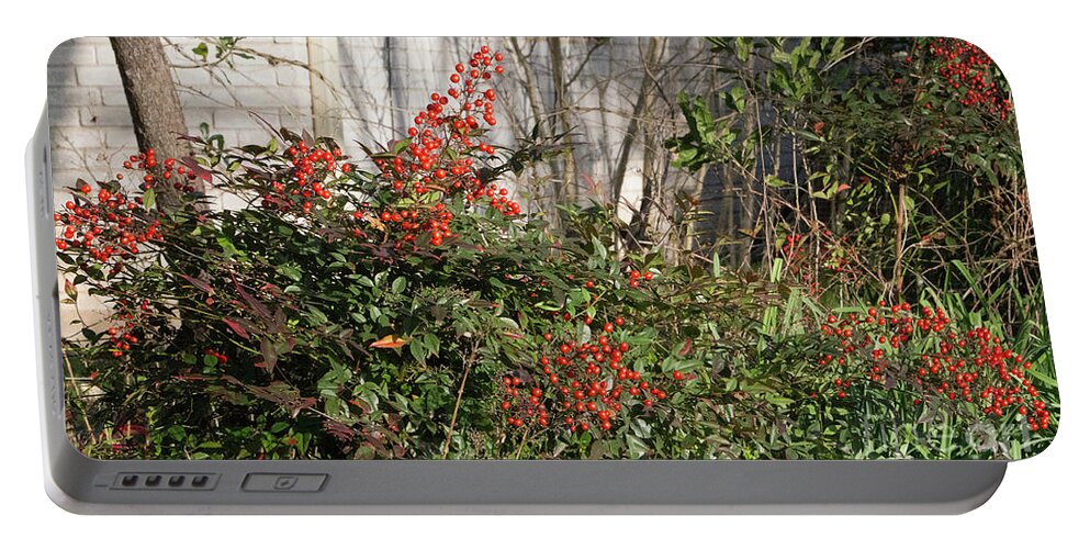 Berries Portable Battery Charger featuring the photograph Austin Winter Berries by Linda Phelps
