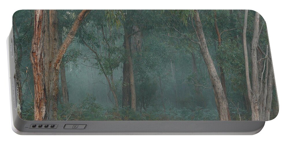 Australia Portable Battery Charger featuring the photograph Australian Morning by Evelyn Tambour