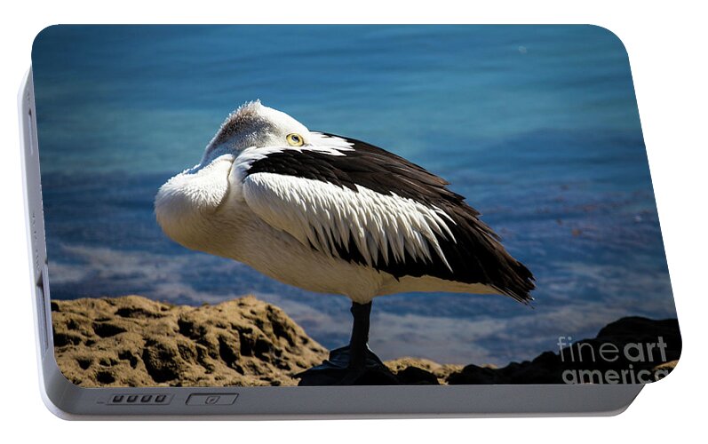 Australian White Pelican Portable Battery Charger featuring the photograph Australian white pelican by Sheila Smart Fine Art Photography