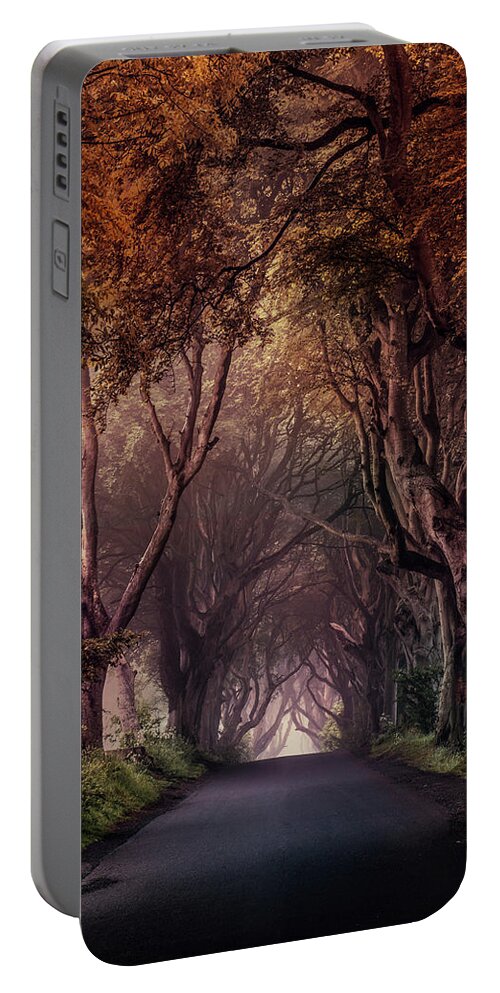 Dark Hedges In Northern Ireland Portable Battery Charger featuring the photograph Autumn alley in Northern Ireland by Jaroslaw Blaminsky