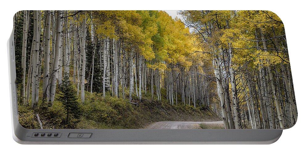 Scenic Portable Battery Charger featuring the photograph Autumn Aspen Tree Lined Rocky Mountain Road by James BO Insogna