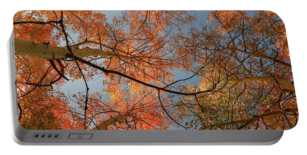 Kaibab Plateau Portable Battery Charger featuring the photograph Autumn Aspens in the sky by Gaelyn Olmsted