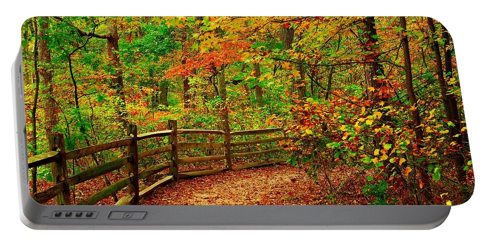 Autumn Landscapes Portable Battery Charger featuring the photograph Autumn Bend - Allaire State Park by Angie Tirado