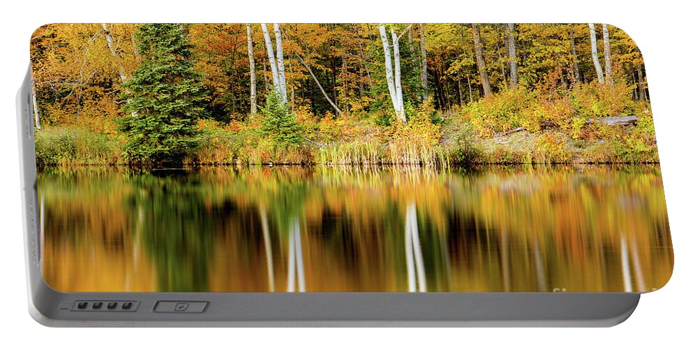 Autumn Portable Battery Charger featuring the photograph Autumn Birch Tree Reflections on Lake Plumbago by Craig Sterken