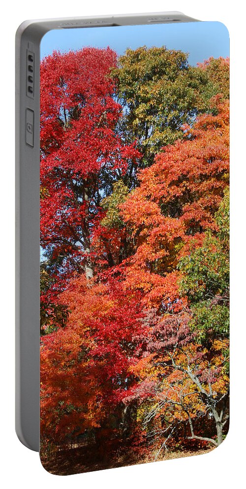 Trees Portable Battery Charger featuring the photograph Autumn Color Spray by William Selander