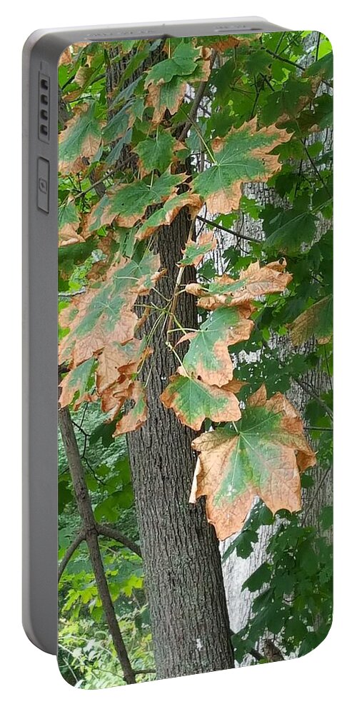 Leaves Portable Battery Charger featuring the photograph Autumn Colors 1 by Rob Hans