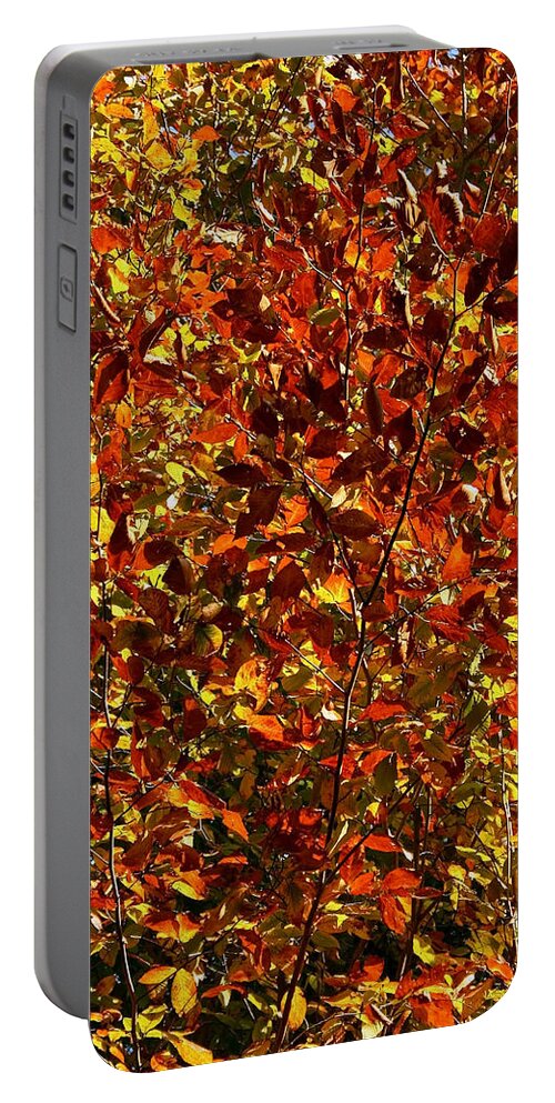 Color Portable Battery Charger featuring the photograph Autumn Colors by Karen Harrison Brown