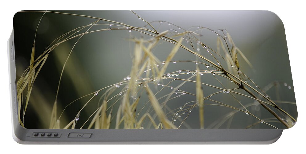 Autumn Portable Battery Charger featuring the photograph Autumn dew on grass by Spikey Mouse Photography