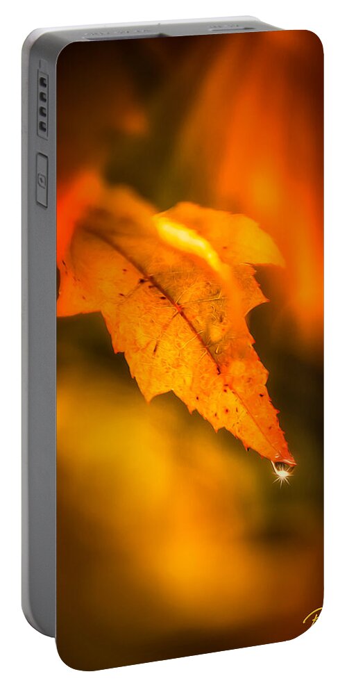 Autumn Portable Battery Charger featuring the photograph Autumn Drops by Rikk Flohr