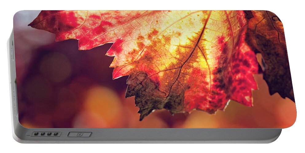 Nature Portable Battery Charger featuring the photograph Autumn Fire by Melanie Alexandra Price