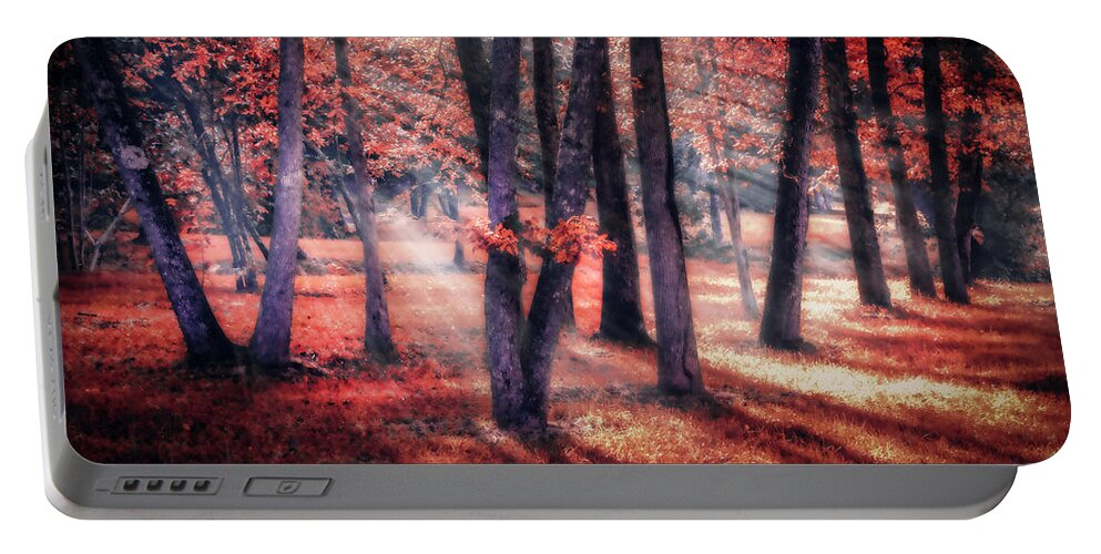 Appalachia Portable Battery Charger featuring the photograph Autumn Firelight by Debra and Dave Vanderlaan