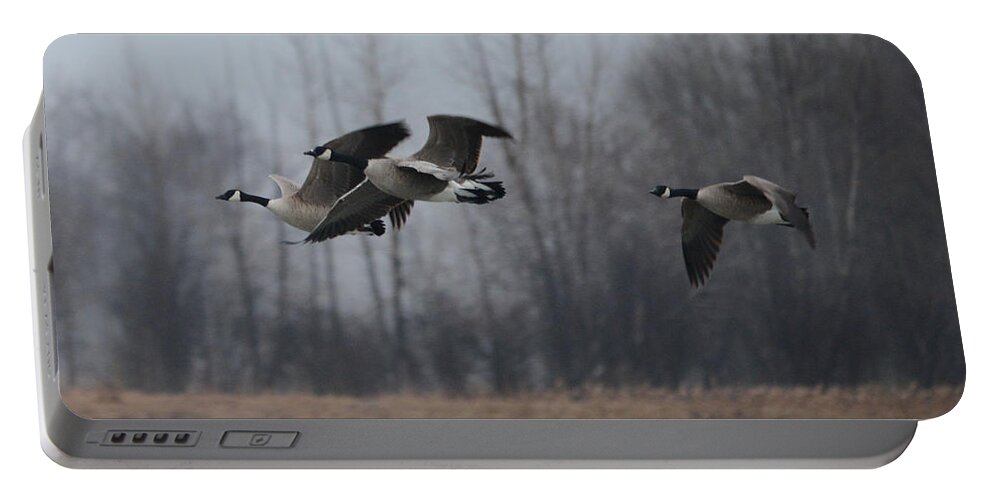 Geese Portable Battery Charger featuring the photograph Autumn Flight by Whispering Peaks Photography