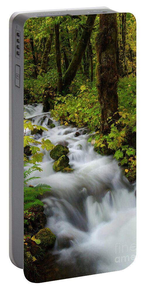 Fall Portable Battery Charger featuring the photograph Autumn Floodwaters by Michael Dawson