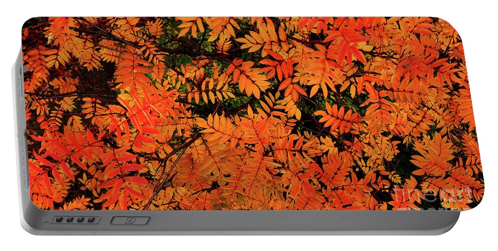  Portable Battery Charger featuring the digital art Autumn in Maple Creek by Darcy Dietrich