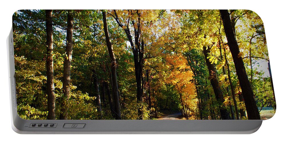 Trees Portable Battery Charger featuring the photograph Autumn in Missouri by Cricket Hackmann
