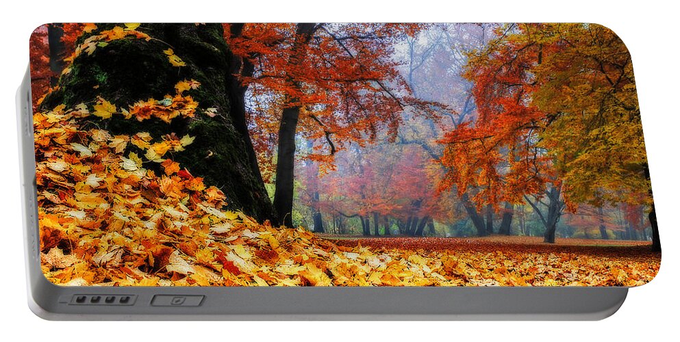 Autumn Portable Battery Charger featuring the photograph Autumn In The Woodland by Hannes Cmarits