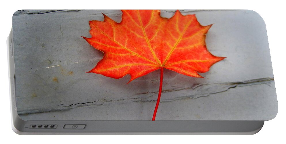 Autumn Leaf Portable Battery Charger featuring the photograph Autumn Leaf by Suzanne DeGeorge
