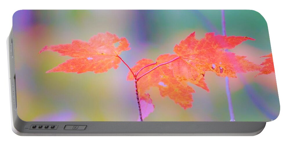 Autumn Portable Battery Charger featuring the photograph Autumn Leaves by Merle Grenz