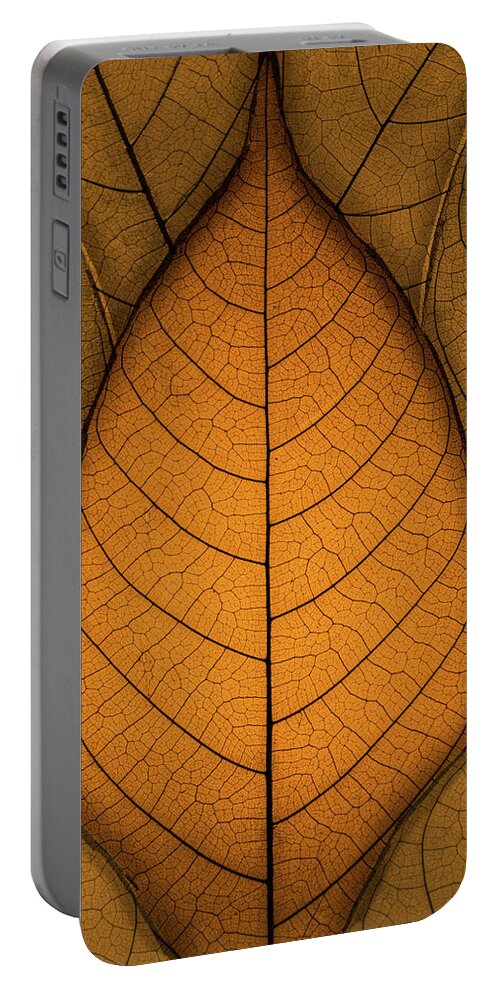 Autumn Portable Battery Charger featuring the photograph Autumn Leaves by Paul Wear