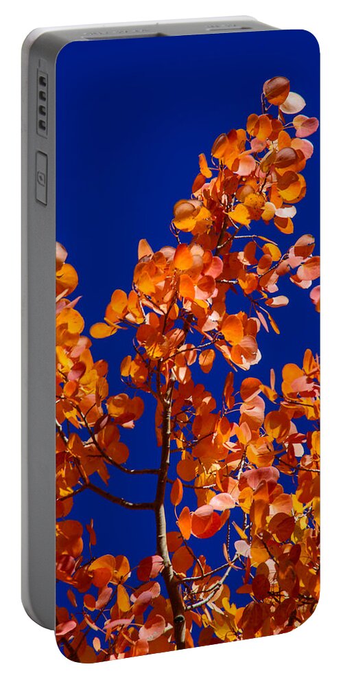 Autumn Portable Battery Charger featuring the photograph Autumn Leaves by Tikvah's Hope