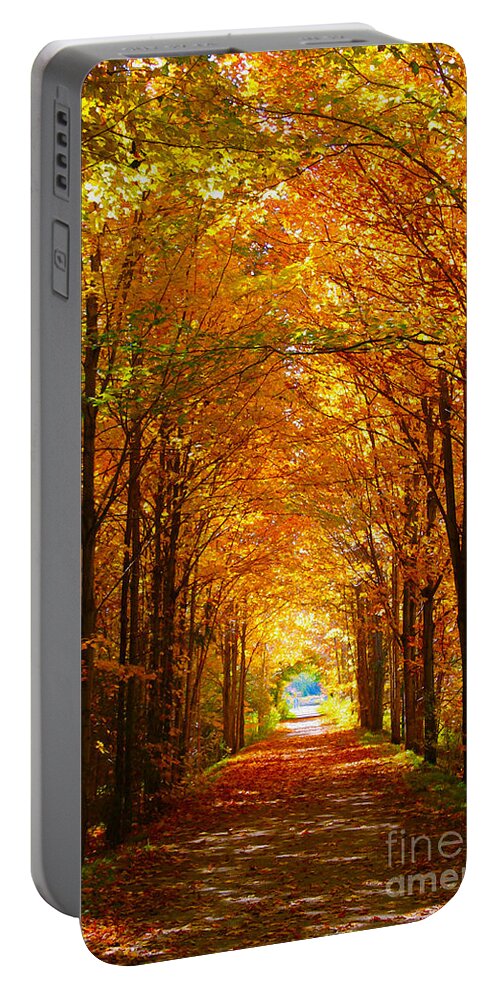 Autumn Portable Battery Charger featuring the photograph Autumn Light and Leaf Painting by Nina Silver