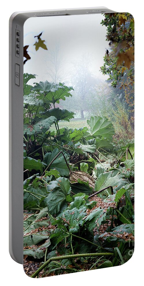 Autumn Portable Battery Charger featuring the photograph Autumn Mist, Great Dixter Garden by Perry Rodriguez