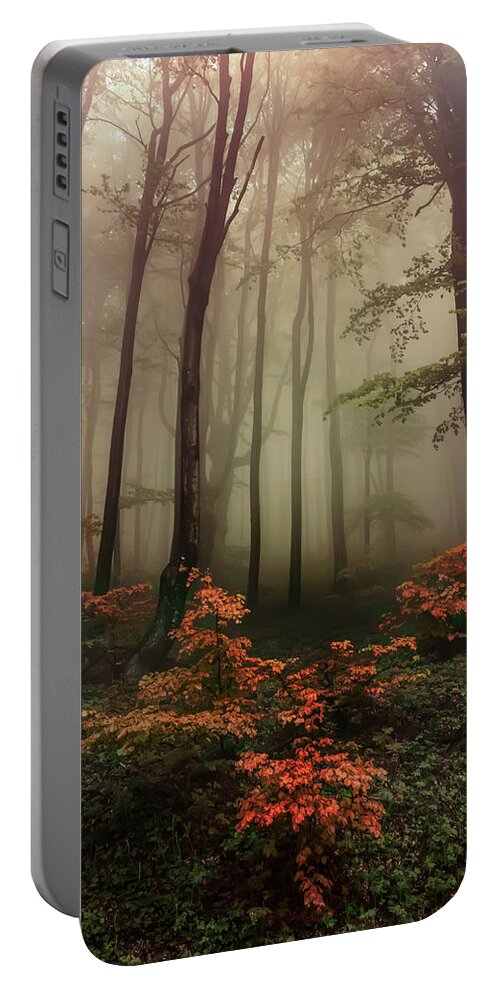 Trees Portable Battery Charger featuring the photograph Autumn mornin in forgotten forest by Jaroslaw Blaminsky