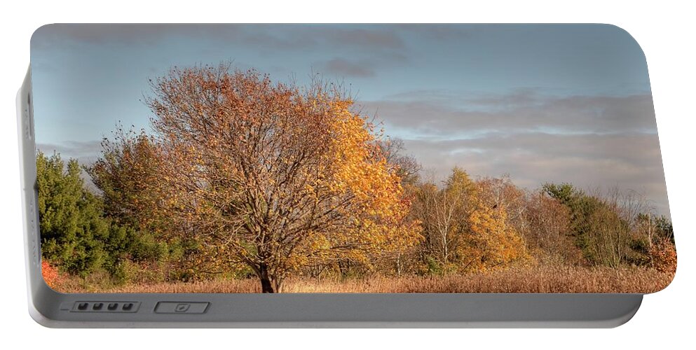  Autumn Portable Battery Charger featuring the photograph Autumn Morning by Ann Bridges