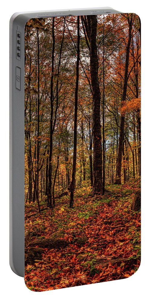 Autumn Portable Battery Charger featuring the photograph Autumn on the Ice Age Trail by Dale Kauzlaric