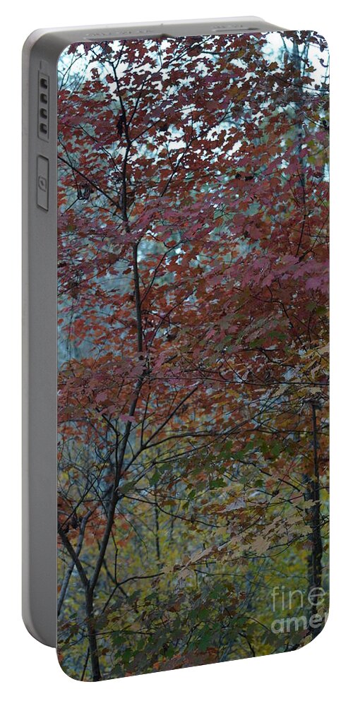 Autumn Pallette At Dusk Portable Battery Charger featuring the photograph Autumn Pallette at Dusk by Maria Urso