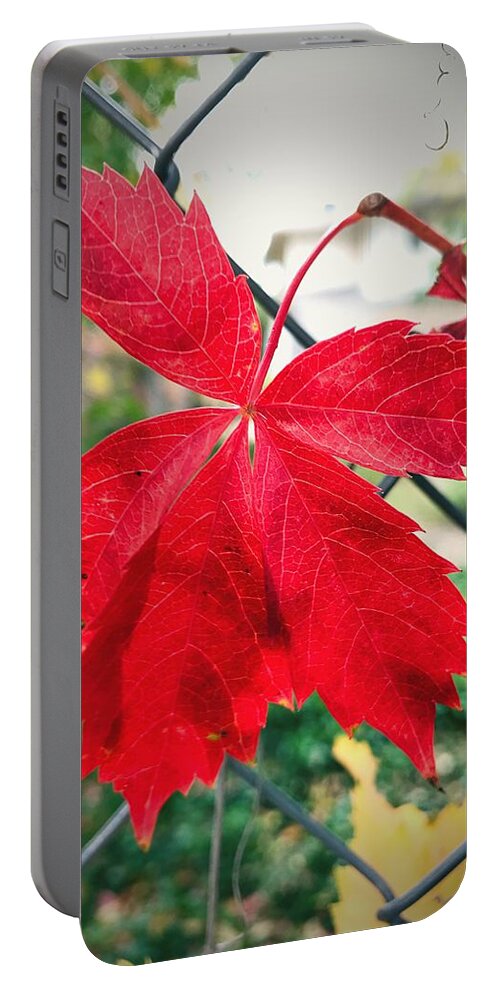 Autumn Portable Battery Charger featuring the photograph Autumn Red by Brad Hodges