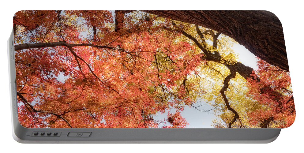 Fort Worth Portable Battery Charger featuring the photograph Autumn Sky by Dan Leffel