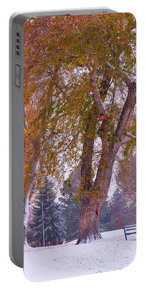 First Snow Portable Battery Charger featuring the photograph Autumn Snow Park Bench  by James BO Insogna